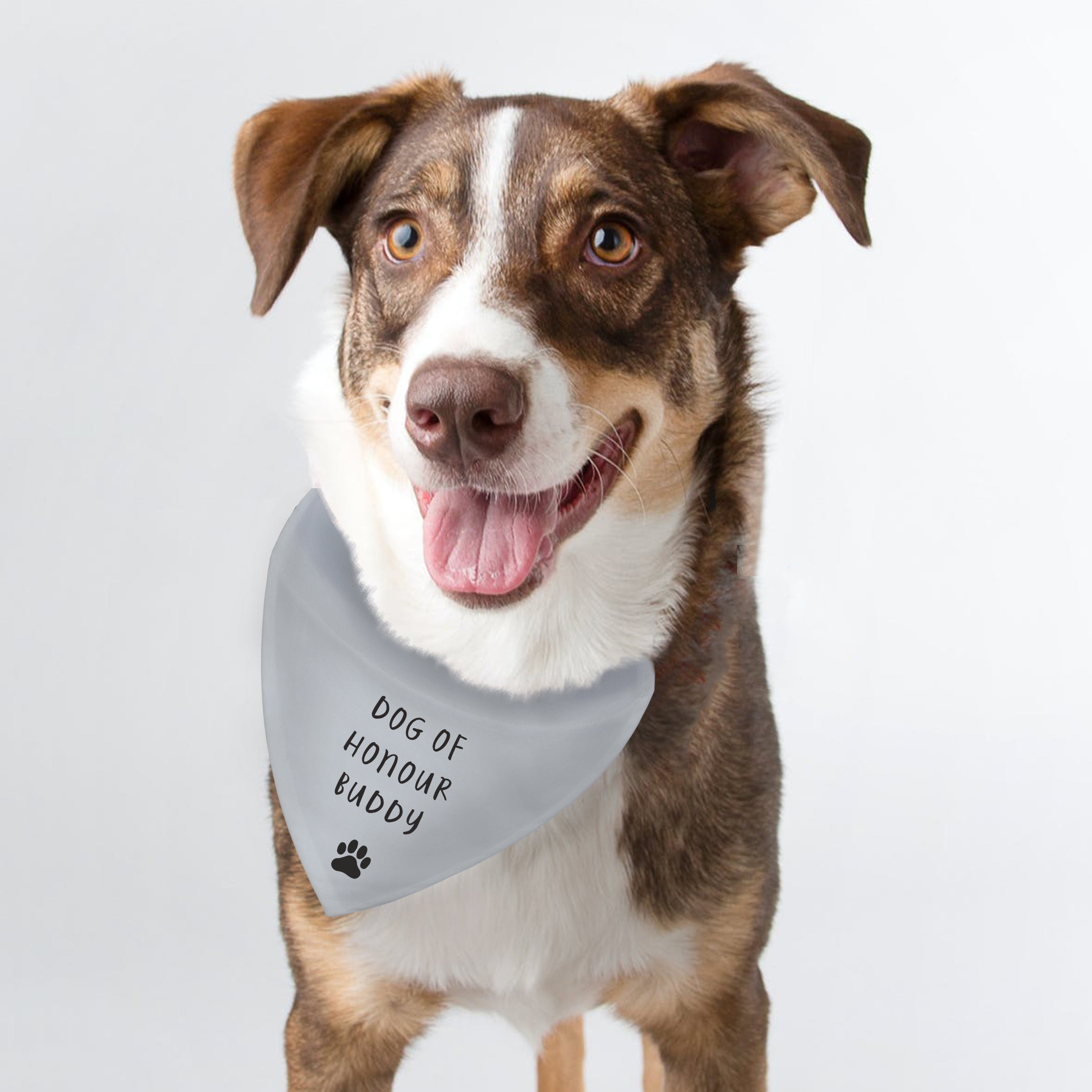 Pet bandana shop shutterfly